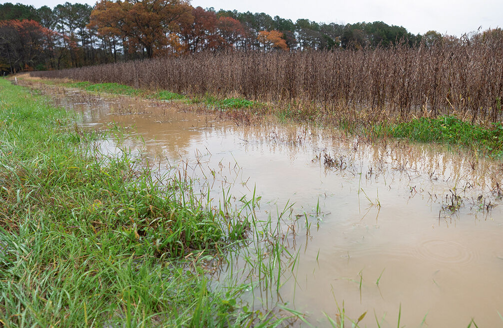 Farm runoff